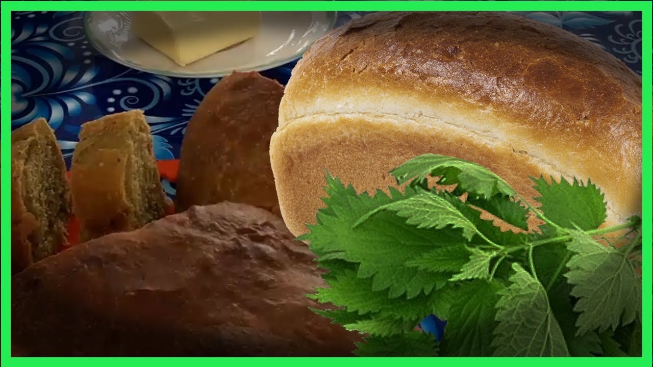 одежда из крапивы конопли купить одежда из крапивы конопли купить
