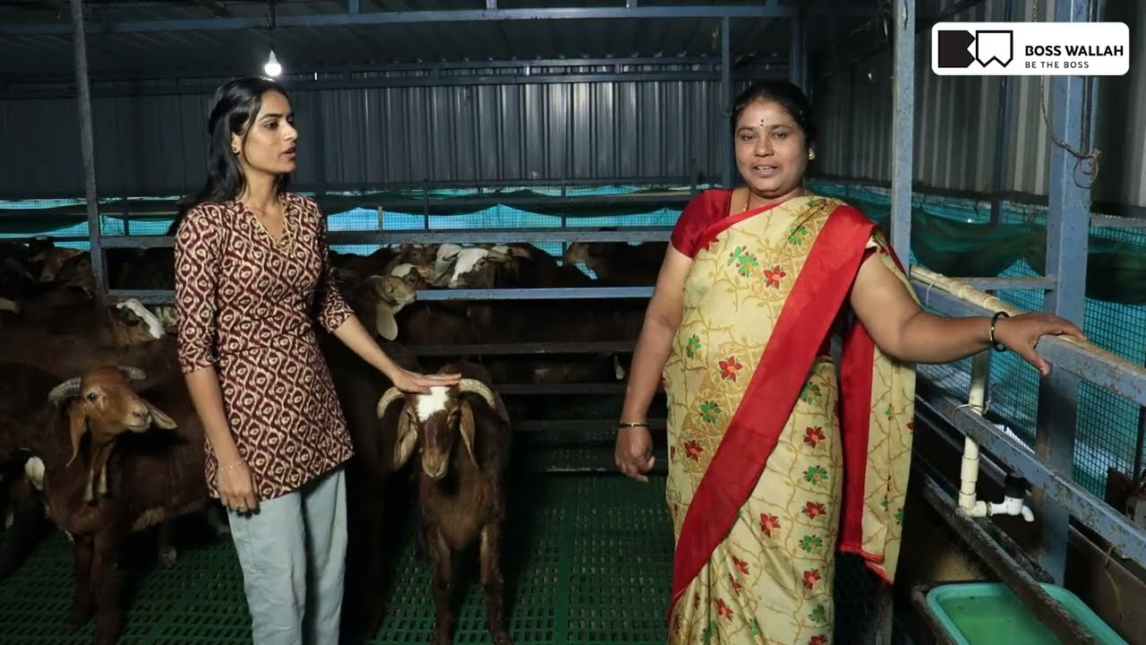 ఇంటి మీద పైన టెర్రస్లో గొర్రెల పెంచడం ఎలా? | సక్సెస్ స్టోరీ | Sheep Farming 2025 | Sirisha