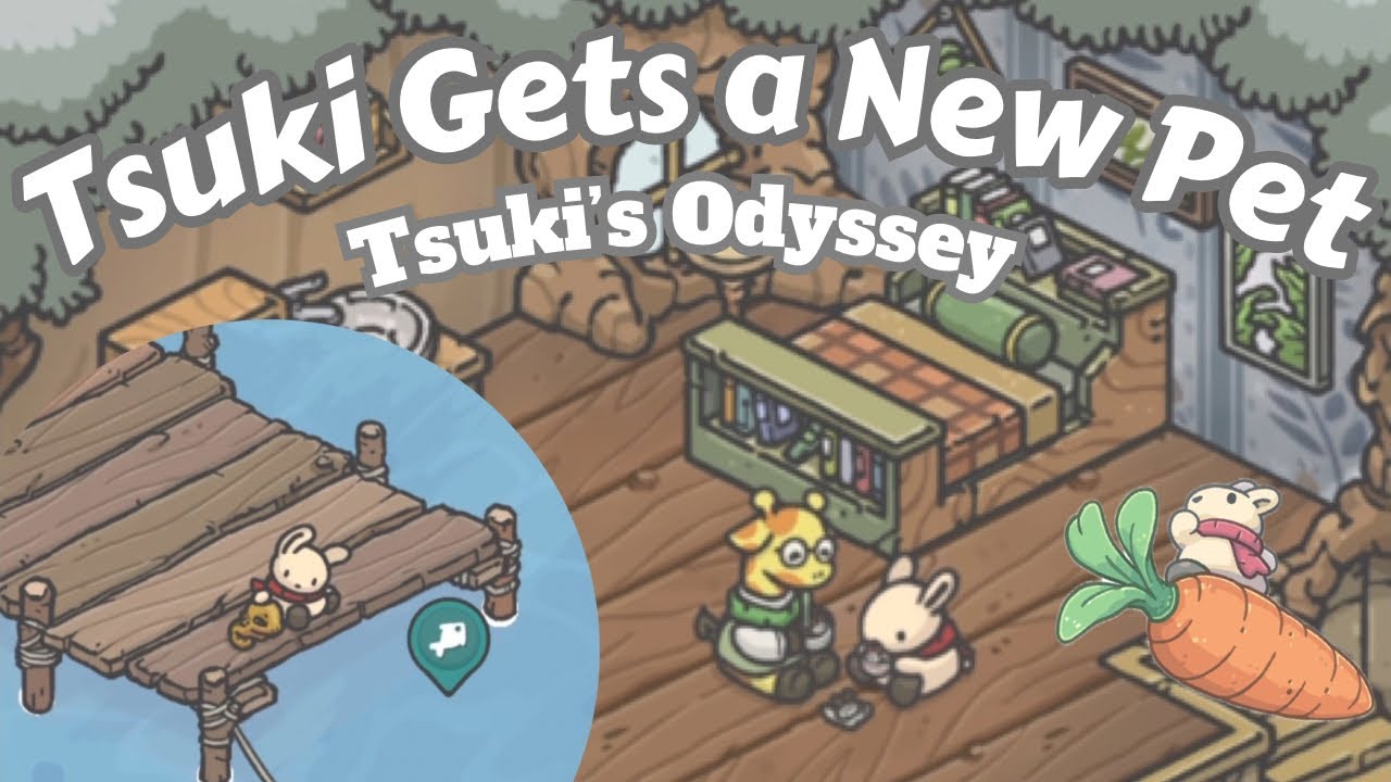 How to Get a Gecko! Tsuki’s Odyssey 🥕