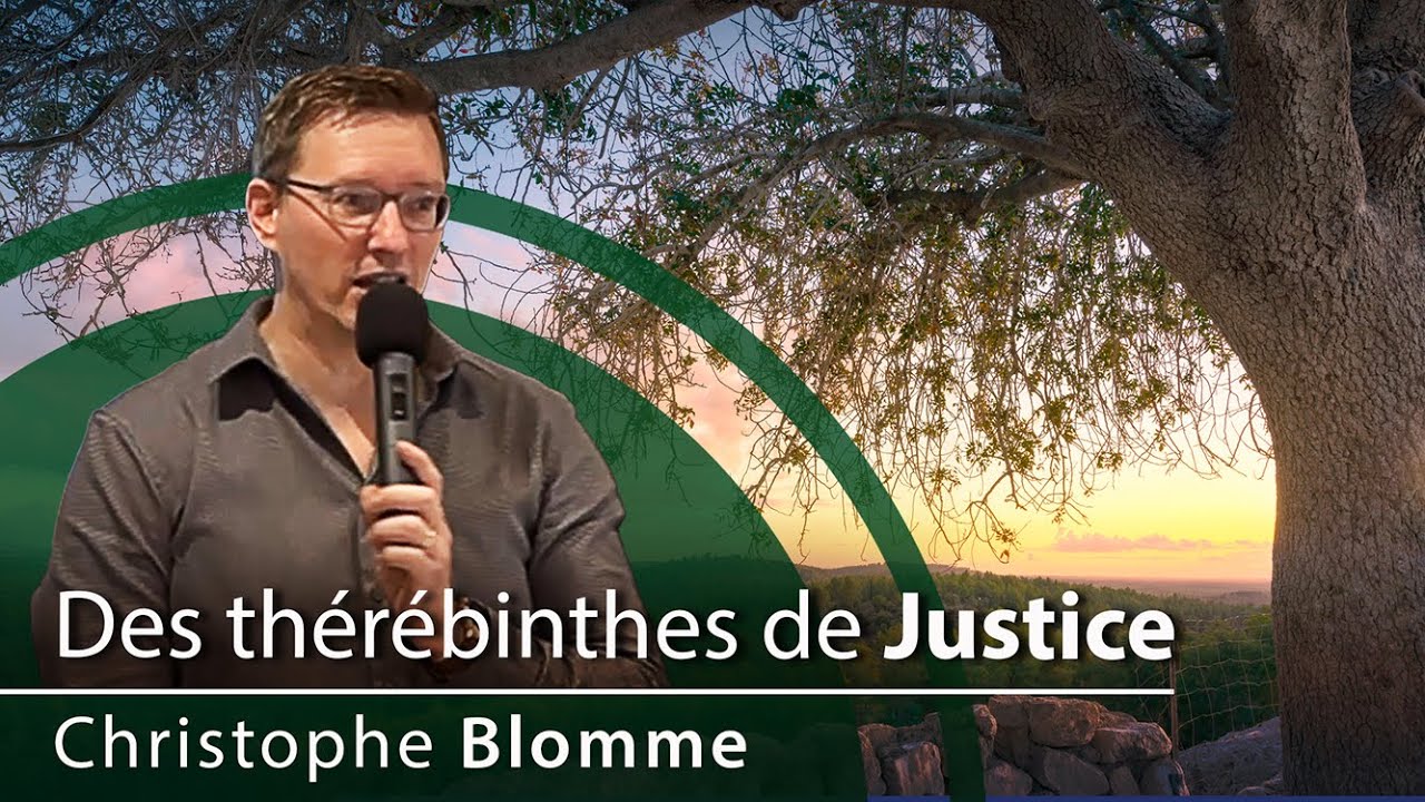 Des Térébinthes de Justice | Christophe Blomme