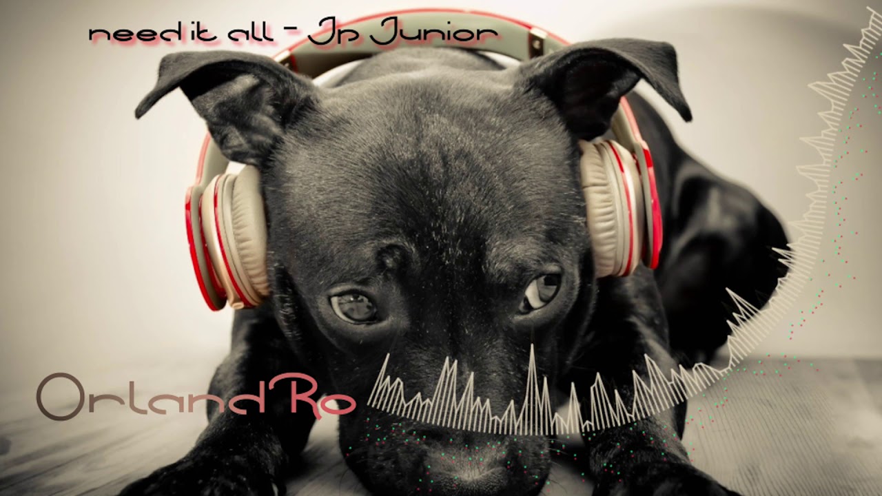Jp Junior - Need it all - YouTube