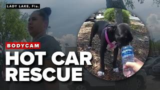 BODYCAM: Puppy saved from 92-degree heat inside parked car; owner arrested
