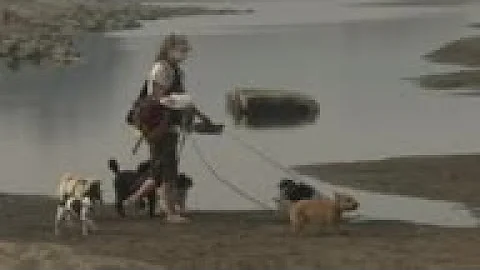 Wildfire smoke health impact expected to spread