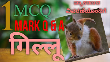 MCQ Gillu Hindi Lesson SSLC Exam New Pattern July-2021 Karnataka | One Word Answers | Hindi Class