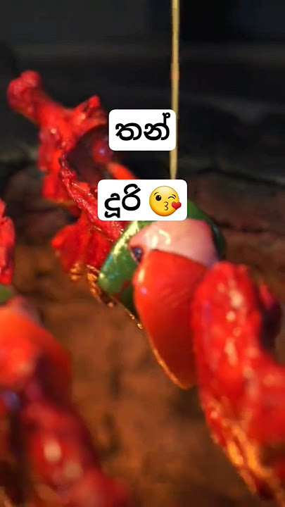 thandoori chicken මචං මෙන්න රියල් තන්දූරී😘 #food #foodie #streetfood #indianfood
