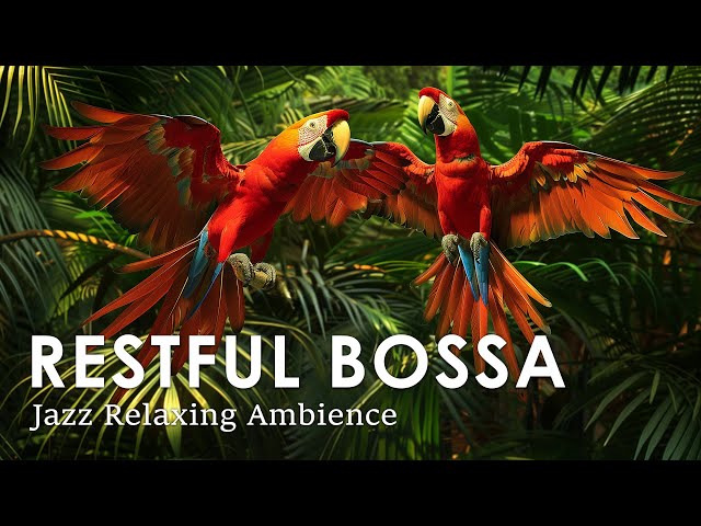 Restful Bossa Nova ~ Beautiful Bossa Jazz to Relax Your Body ~ Bossa Nova May class=