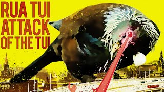 Rua Tui - Attack of The Tui [David Attenborough Drum & Bass]