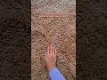 Fur Rug! Amazon Home Finds! #amazonfinds #amazon #fyp #shorts