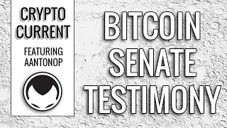 Bitcoin Senate Testimony - Andreas Antonopoulos