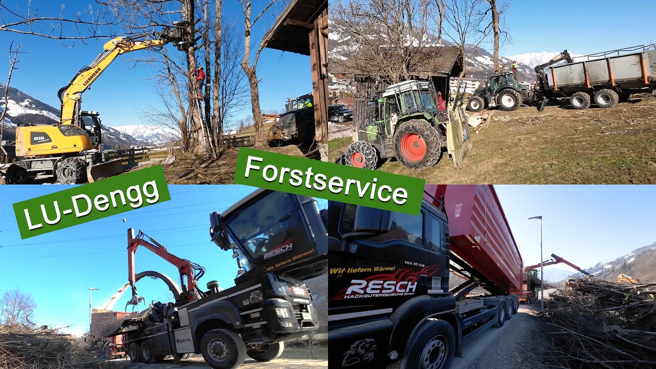 Bagger im Forst: Holzernte, Problembaumfällung | Valtra, BMF, Liebherr, Jenz Cobra, FAE Forstmulcher