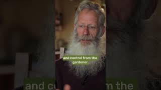 Ive Stopped Interfering With My Garden (Incredible Food Forest)
