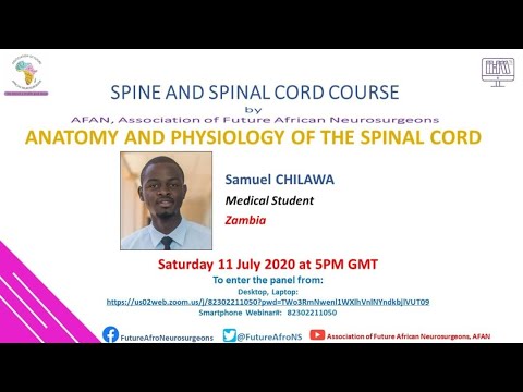 Anatomy and Physiology of the Spinal Cord - YouTube