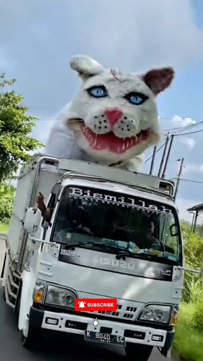 When the Ogoh-Ogoh Blocks the Street