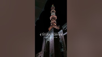 سورة مريم {الآية 35} بصوت الشيخ ياسر الدوسري ❤️💖