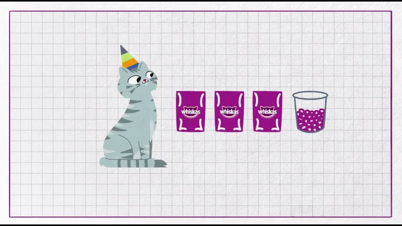 Kitten to Cat: When Can Kittens Eat Adult Cat Food? - YouTube