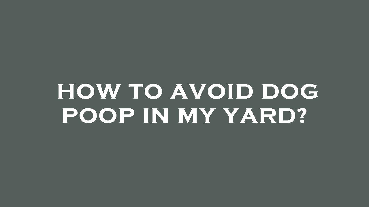 How to avoid dog poop in my yard? YouTube