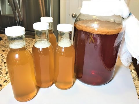 Video: Kombucha: Læge I Banken - Alternativ Visning