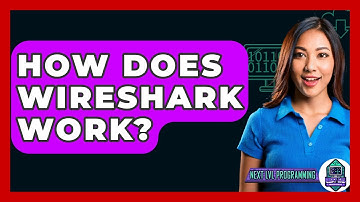 How Does Wireshark Work? - Next LVL Programming