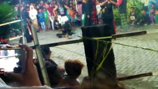 Satrio kencono - jaranan metatu