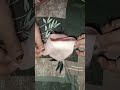 Easy trick #viral #stop #tending #silai #shorts @kapde stitching ❤️