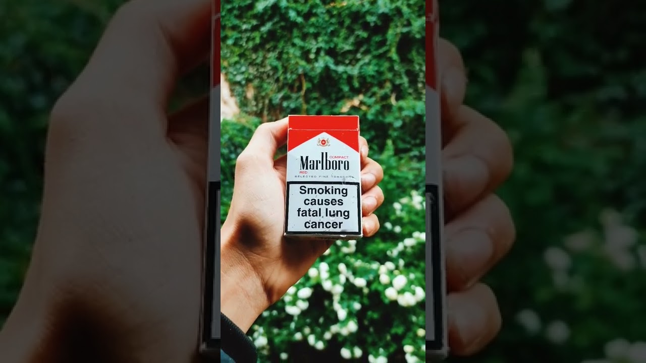 it gives me 2010 grunge vibes 