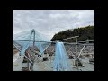 屋根張りゲリラLive