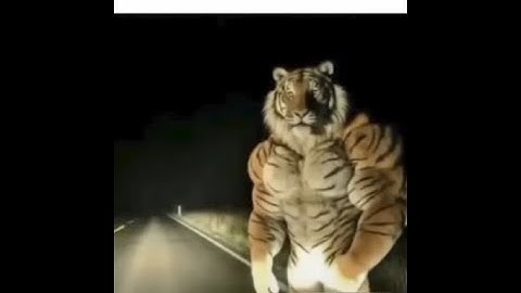 Beating a random ULTRAKILL level everyday until Fraud releases - Day 132