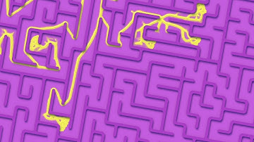 Can YOU solve the maze before the slime?