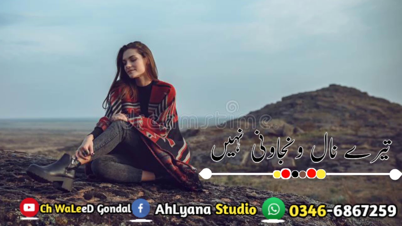 TeRe NaL WnjaWNi Ni ZaMaNa BaHwy RuS JaWy |TaLiB husaiN DarD |Punjabi gazal