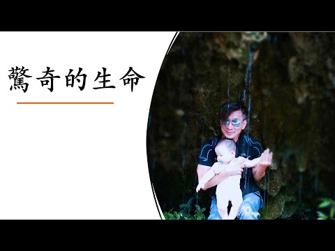 驚奇的生命