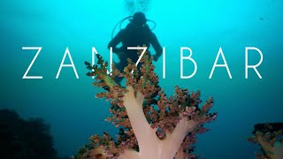 Scuba Diving in AFRICA (Zanzibar)