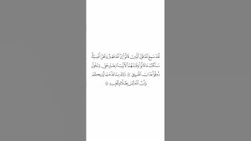 صلاة التراويح ليلة ٥ رمضان ١٤٤٥هـ سورة آل عمران الآيات من ١٨١ إلى ١٨٢ الشيخ بندر بليلة