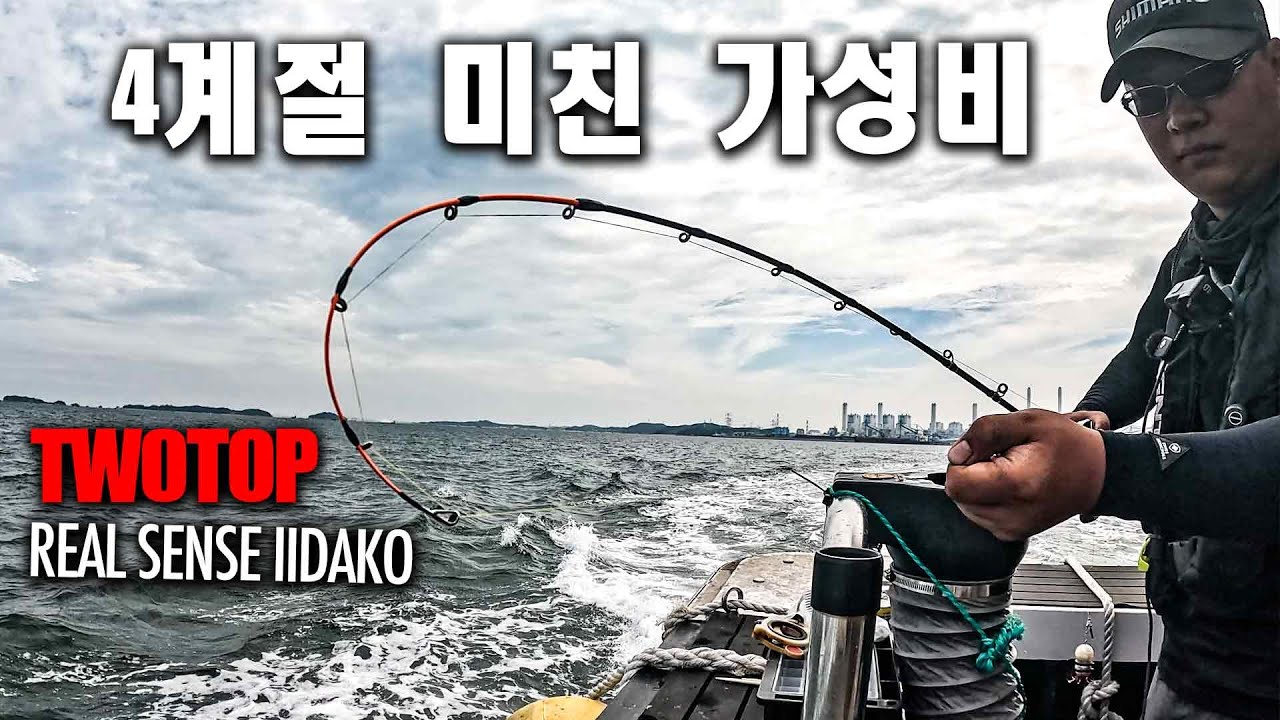 #이벤트 가성비 쭈꾸미 갑오징어 낚시대 투톱으로 모든 상황을 극복하다, 초보자 추천 !! 영흥도 쭈꾸미 낚시