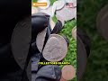 RARE 1982-D QUARTER WORTH THOUSANDS Hidden Washington Quarter ?Value#1982DQuarter #RareCoins