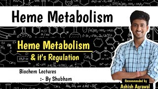 Heme Synthesis and Its Regulation|| Heme Metabolism || Biochemistry Lectures