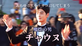 顔天才チャウヌに見惚れる人々【ASTRO / Cha Eunwoo 】