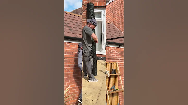 Video 8829561: cats catio, catio outdoors, enjoying catio