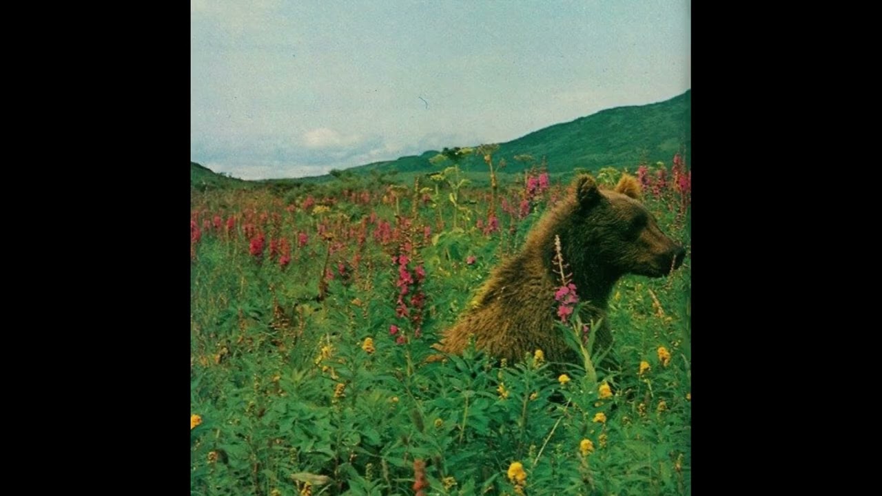 [FREE] Mac Miller Type Beat 