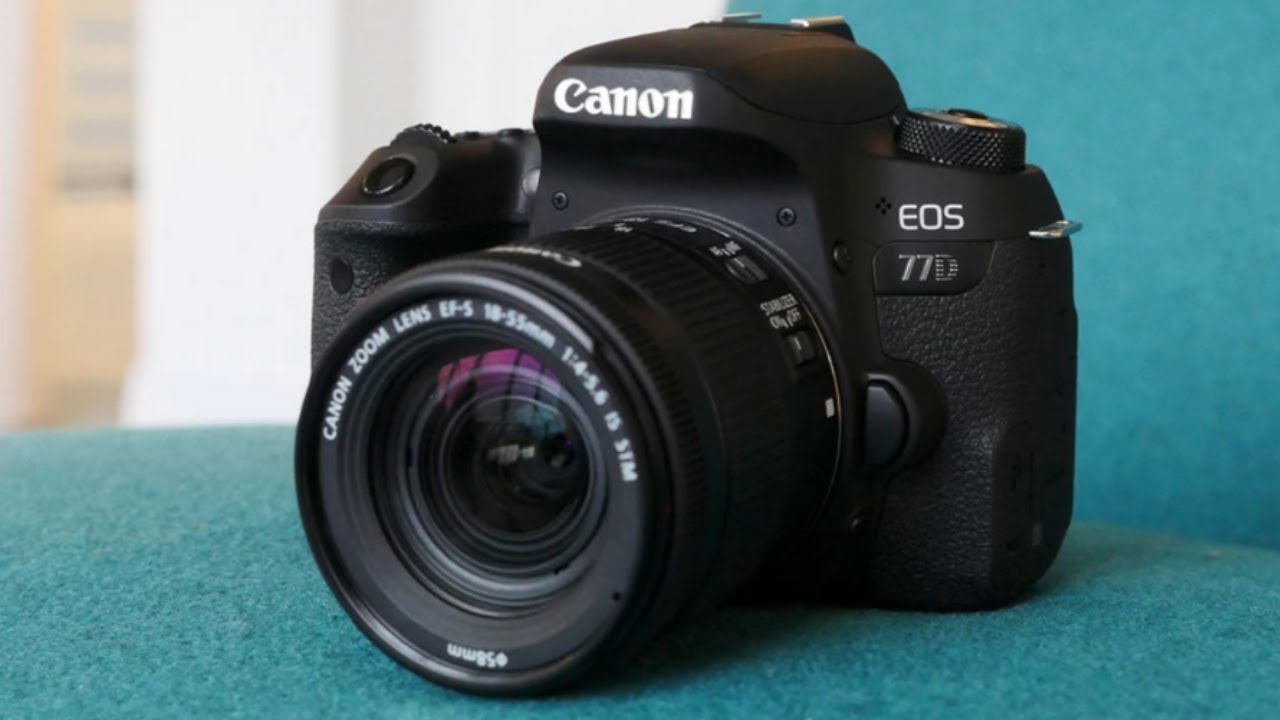 Top 5 BEST Cameras For Beginners in [2024] - YouTube