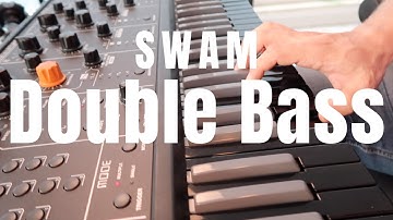 SWAM Double Bass In Action
