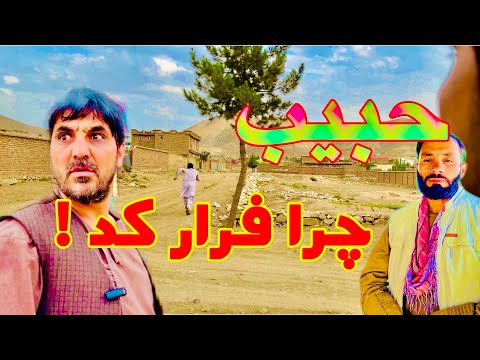 اعتبار کاکا تور بالای حبیب حبیب چی کرد