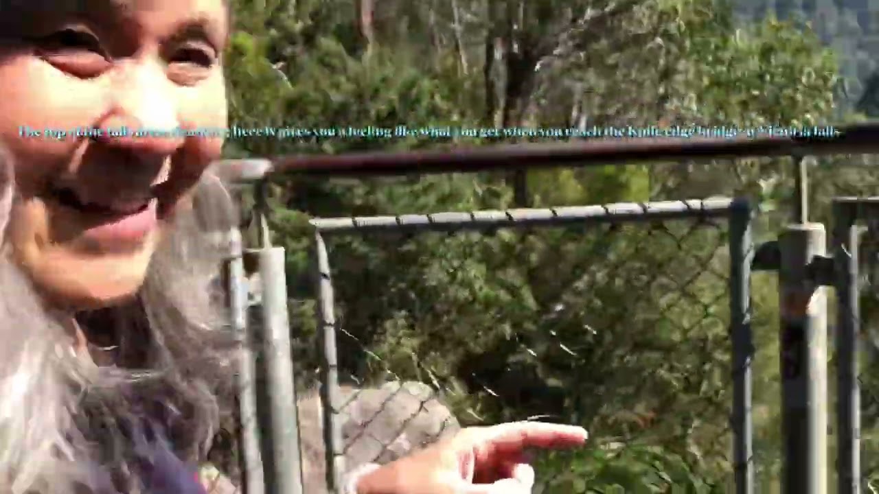 Steavenson Falls, Marysville