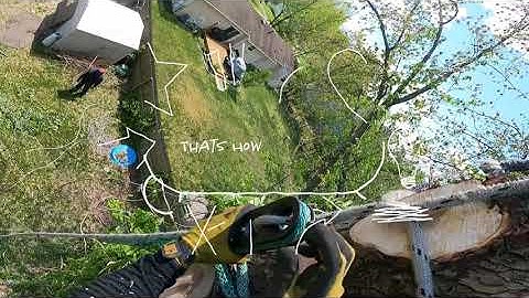 The #1 way to fix an incorrect SafeBloc #shorts