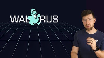 Walrus Protocol is taking decentralized storage to the next level