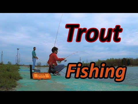 Area Fishing თევზაობა ტბის კალმახზე