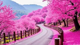 видео: Музыка лечит сердце и сосуды🌿 Успокаивающая музыка восстанавливает нервную систему,расслабляющая картинка: Музыка лечит сердце и сосуды🌿 Успокаивающая музыка восстанавливает нервную систему,расслабляющая