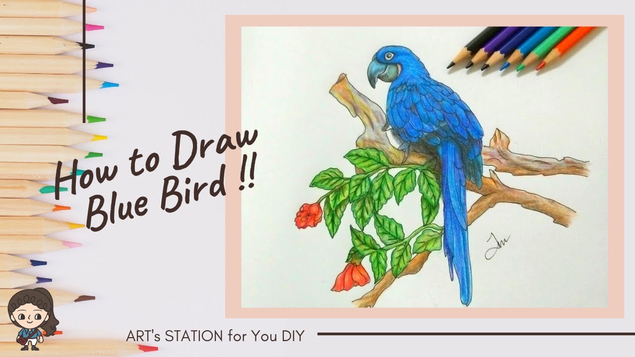 สอนวาดนกสีฟ้าน่ารักง่ายๆ เหมือนจริง : Drawing Blue Bird for beginners l ...