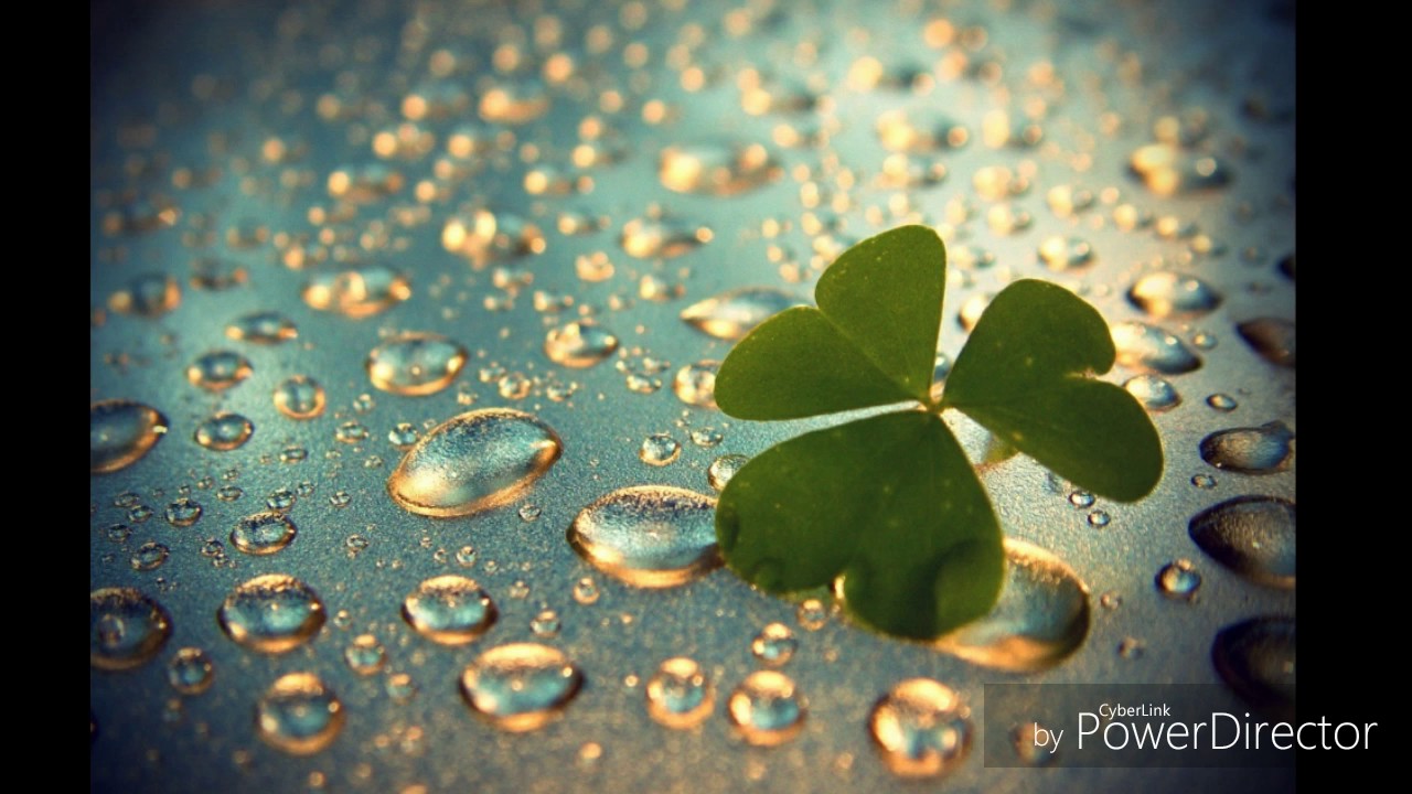 Nilave Mayumo Female Version 