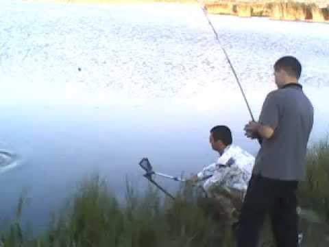 Grass Carp Fishing GEO.  \'ამური\'