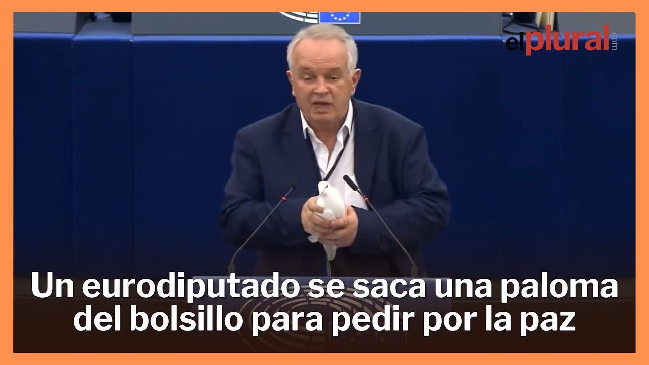 Un eurodiputado saca una paloma en el Parlamento Europeo para pedir la ...